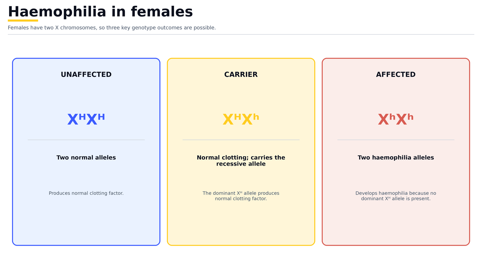 Haemophilia in females: X^H X^H is unaffected, X^H X^h is an unaffected carrier, and X^h X^h develops haemophilia