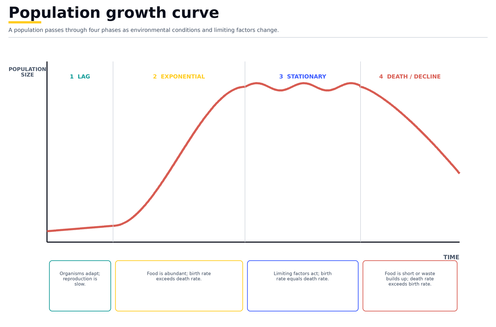 Population growth curve through its four phases: lag, exponential, stationary and death or decline, as limiting factors take hold