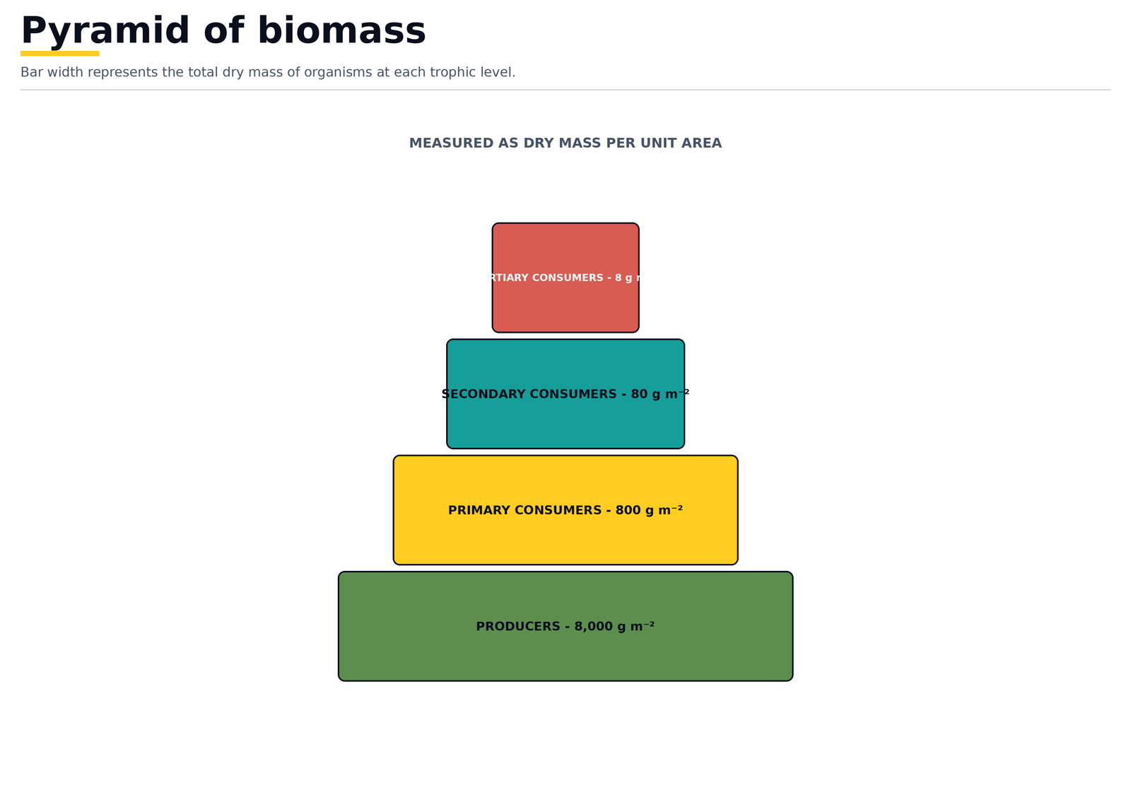 Pyramid of biomass: bar width is the total dry mass of organisms per unit area at each trophic level, from producers up to top consumers