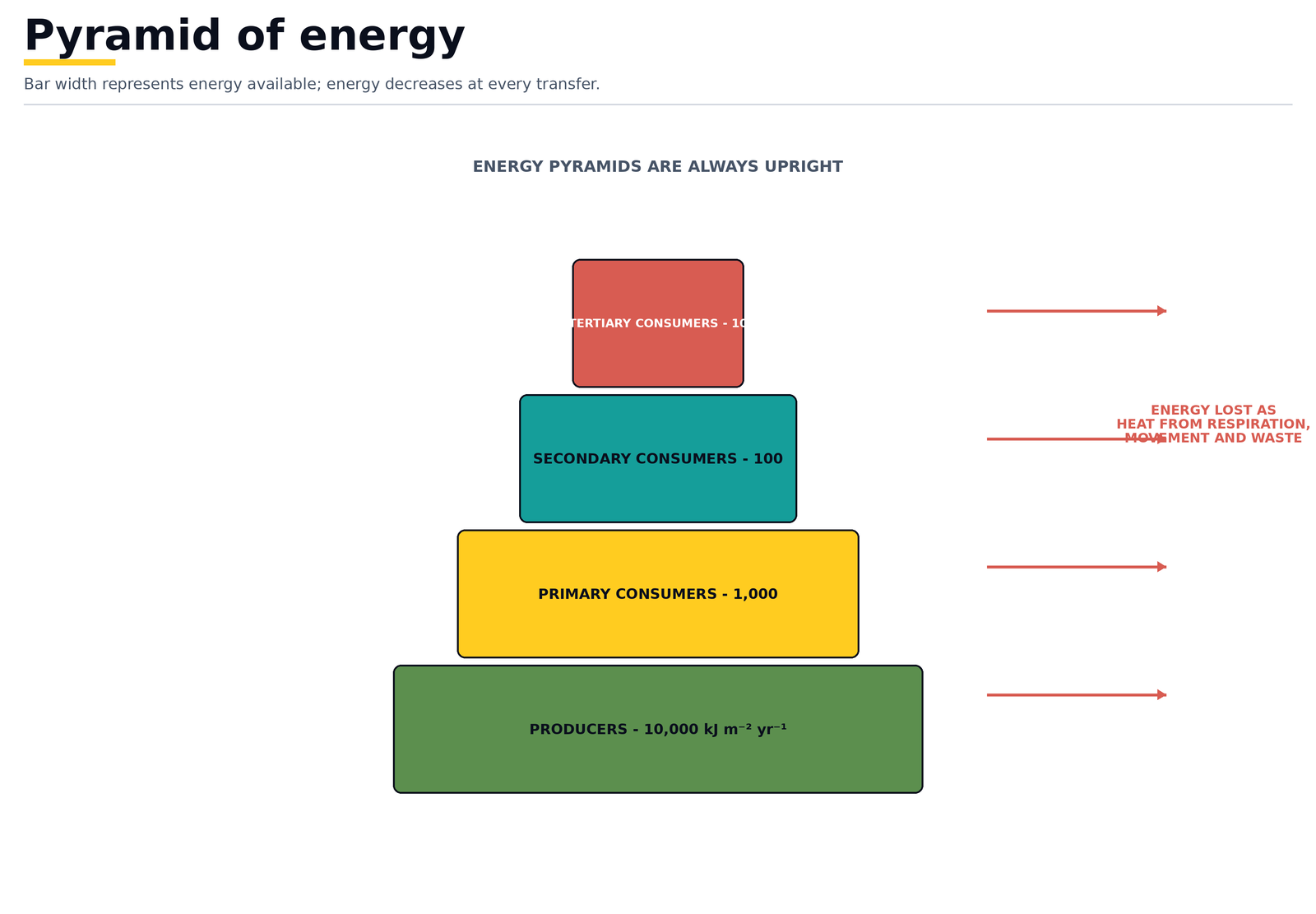 Pyramid of energy: always upright, because the energy available falls at every trophic level with the rest lost as heat, respiration, movement and waste