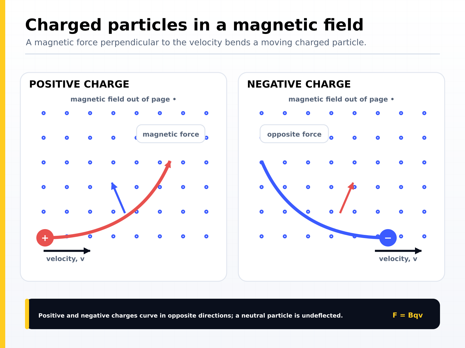 Charged particles moving through a magnetic field: a force perpendicular to the velocity bends the path, positive and negative charges curve in opposite directions, and a neutral particle is undeflected