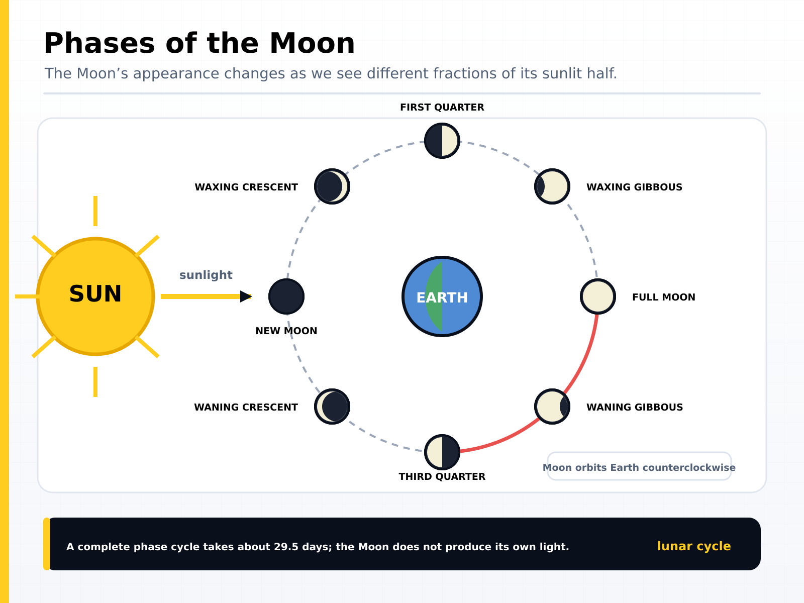 Phases of the Moon: as the Moon orbits the Earth anticlockwise we see different fractions of its sunlit half, from new moon through waxing crescent, first quarter, waxing gibbous, full moon and waning phases, a complete cycle taking about 29.5 days